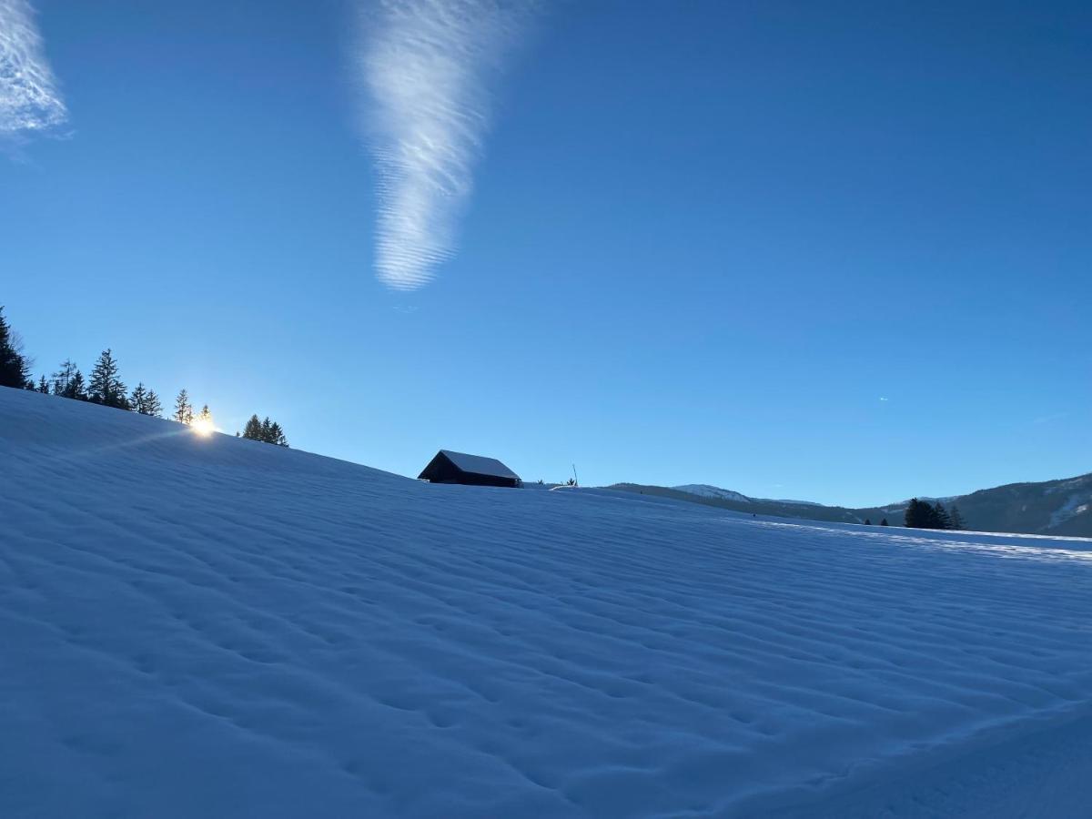 Obersdorfer Hof ξενώνας Bad Mitterndorf Εξωτερικό φωτογραφία