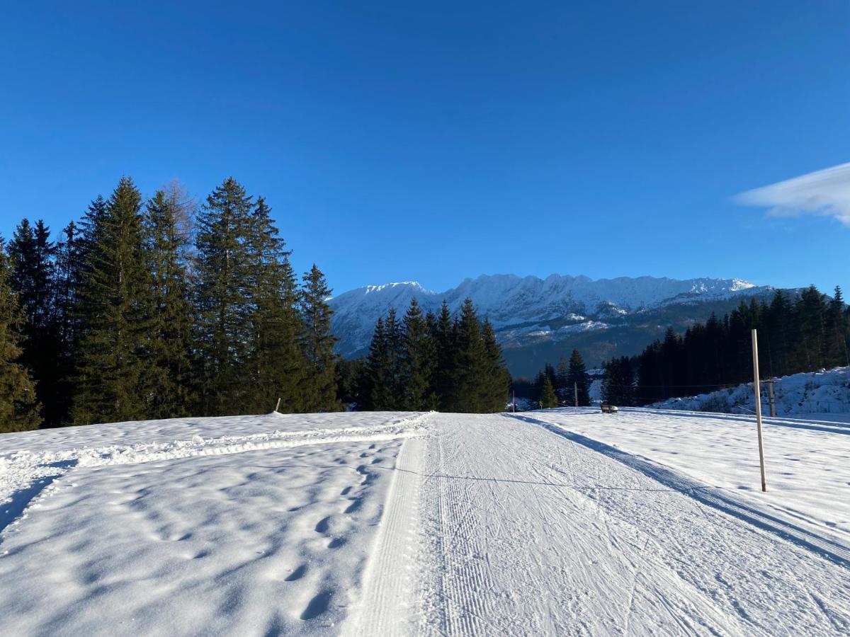 Obersdorfer Hof ξενώνας Bad Mitterndorf Εξωτερικό φωτογραφία