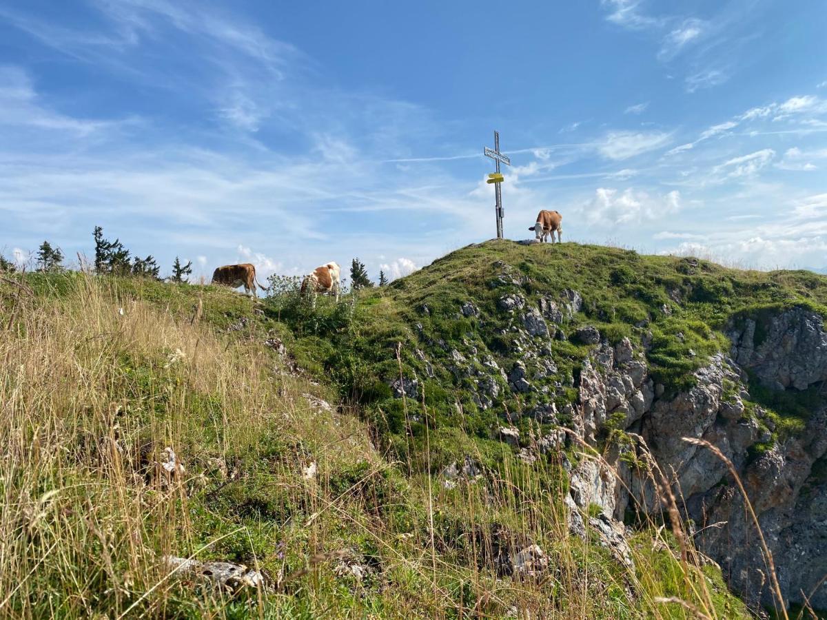 Obersdorfer Hof ξενώνας Bad Mitterndorf Εξωτερικό φωτογραφία