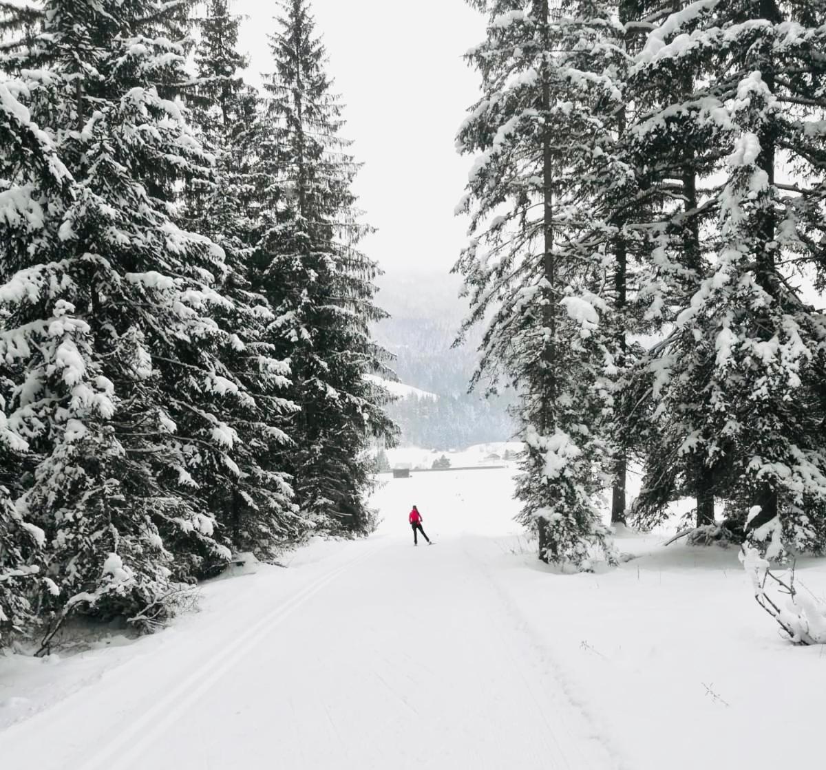 Obersdorfer Hof ξενώνας Bad Mitterndorf Εξωτερικό φωτογραφία